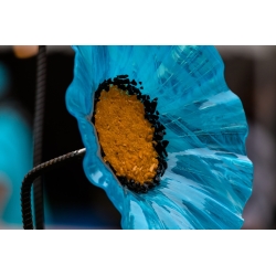 Glass Flower