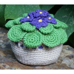 Blue Flowers