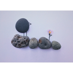 Rock Meets Flower