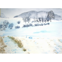 Winter Fields