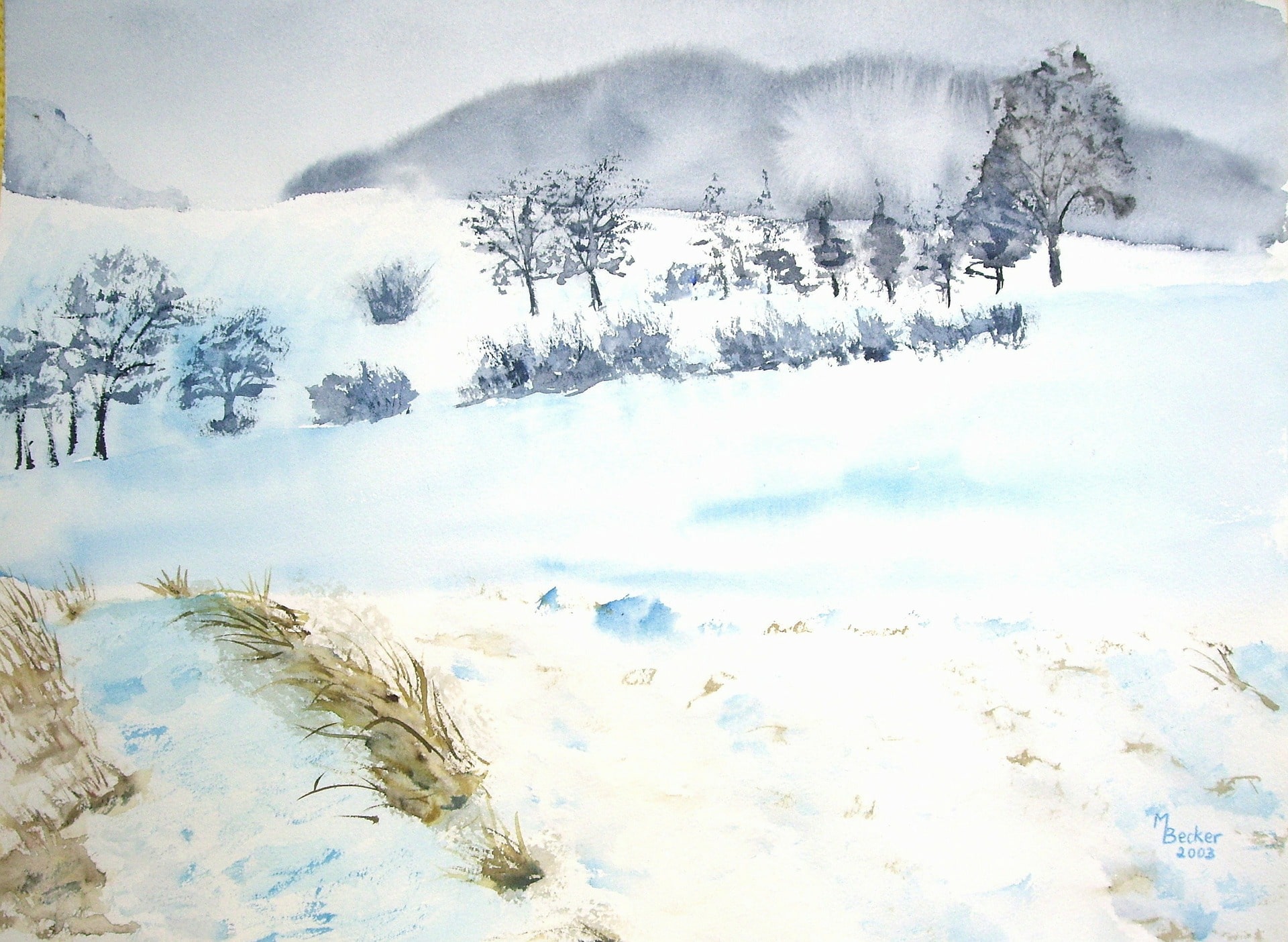 Winter Fields